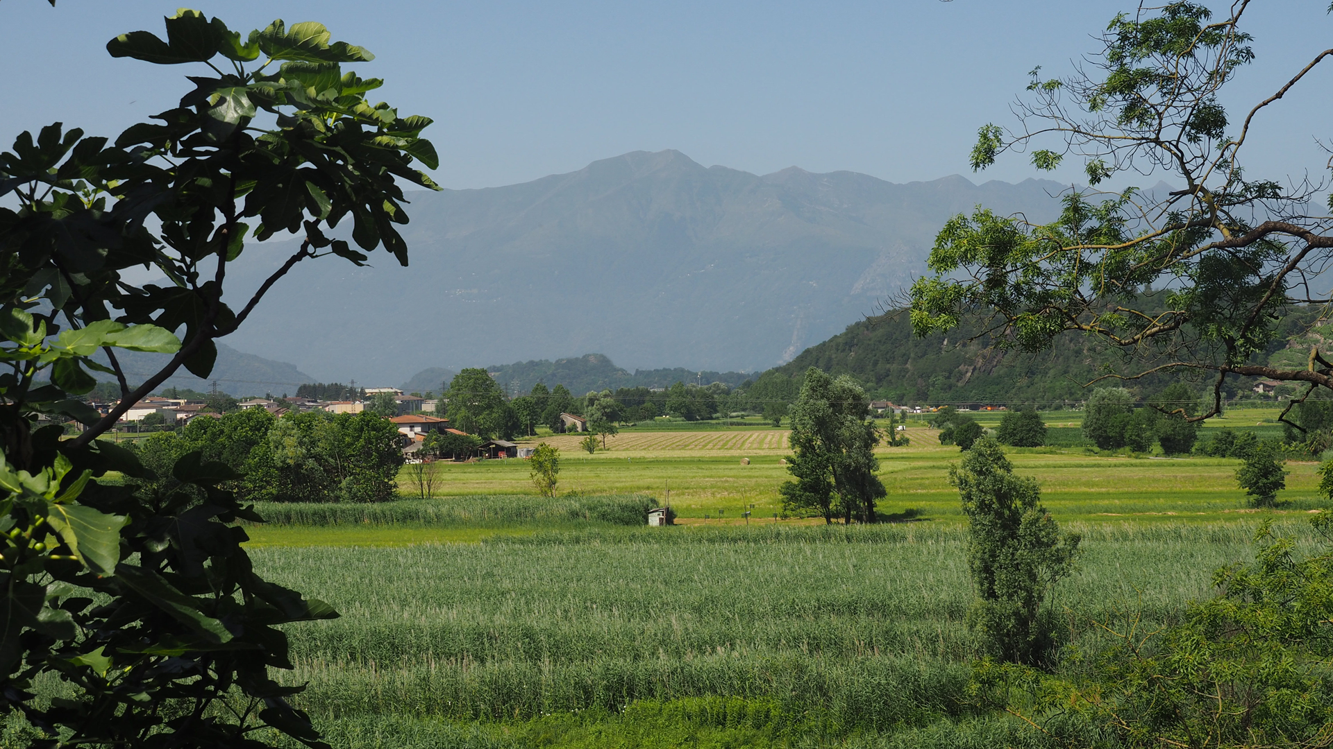 Riserva Naturale del Pian di Spagna-Lago Mezzola