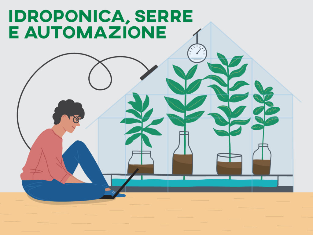 idroponica, serre e automazione